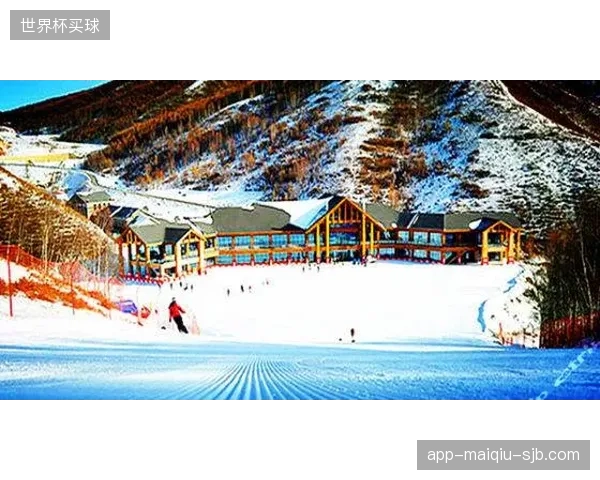 百家北方雪场缆车吞吐量对齐实时承载上限